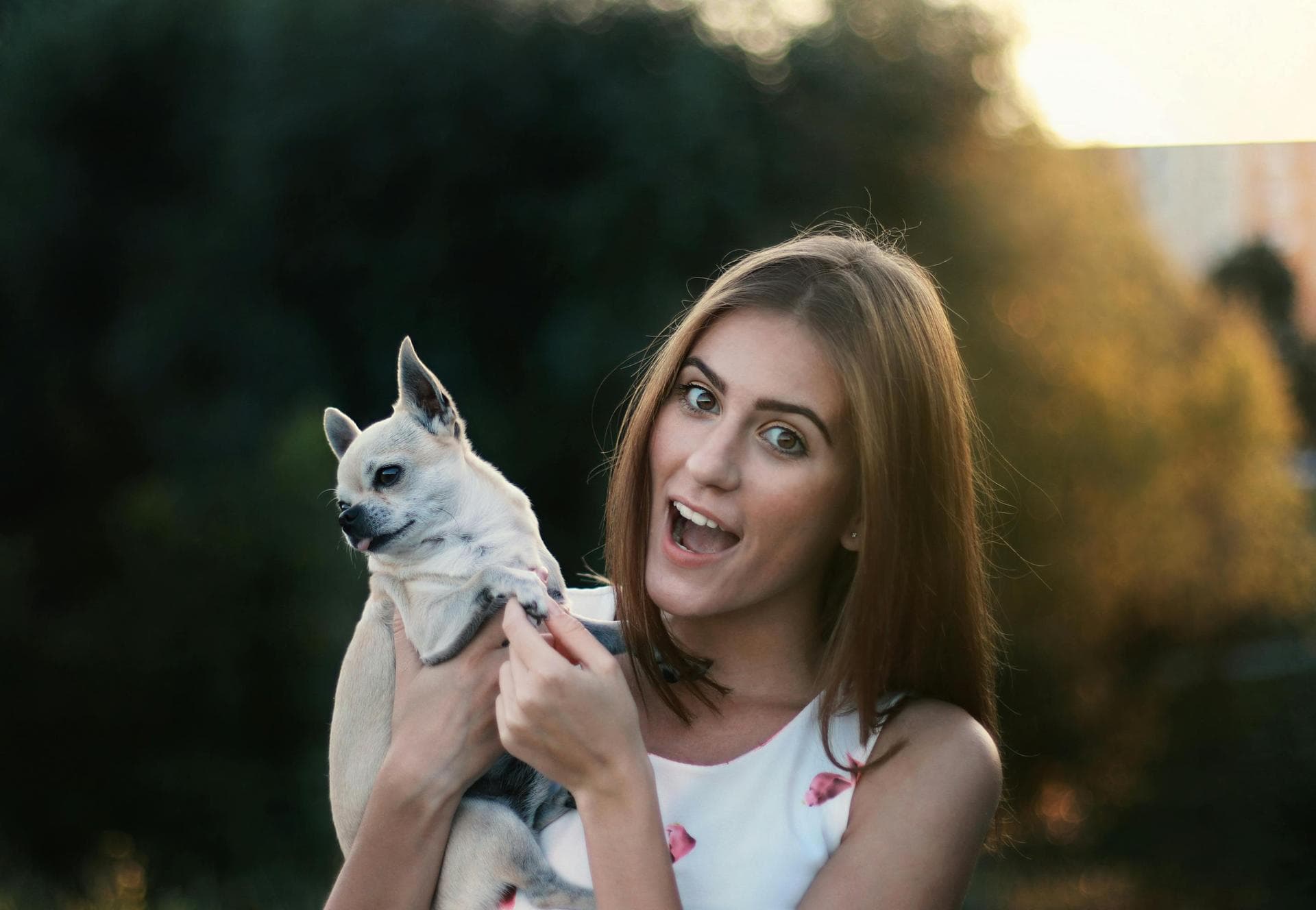 Dog & Cat Vets in Nixa